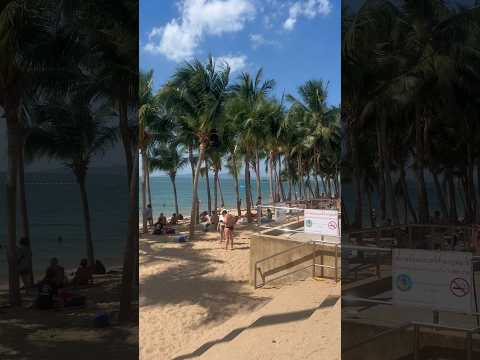 Beautiful Palm Trees at Jomtien Beach Thailand 🌴🌴🇹🇭 #pattaya #travel #beach