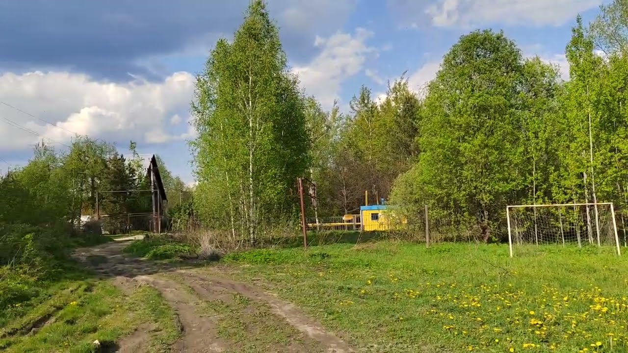 Мечты о скромной девочке