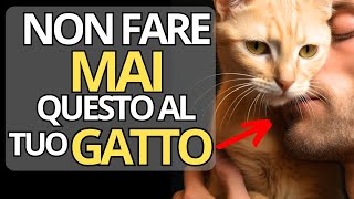 13 COSE DA NON FARE AL TUO GATTO