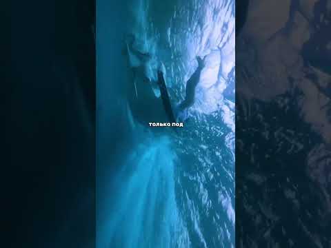 mood..Еще больше такой музыки - https://vk.com/mrxxxmrxxx #реки #клипы #музыка #fypシ