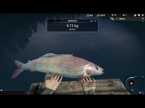 Professional Fishing - Ловим хариуса и крупных сомов #8