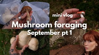 Mushroom foraging in september | vlog 1