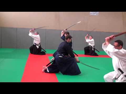 Aikido - Xavier Dufau - 21 décembre 2014 - Saint Pierre du Mont