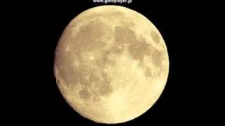 Grapefruit Moon (Live) / Tom Waits chords