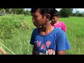 Strange Fishing Shooting || Awesome!! Two Smart Boys Shooting  Fish With His Snare