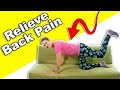 Relieve Back Pain With This EASY, Real-time Routine!