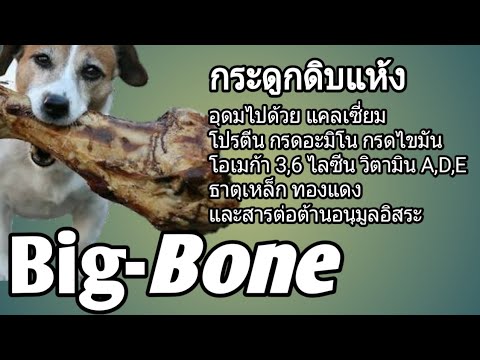 วีดีโอ: How to Price ลูกสุนัข Bulldog ภาษาอังกฤษ