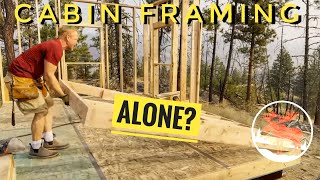 Framing Walls in an Off Grid Mountain Cabin. Solo Build…Again!