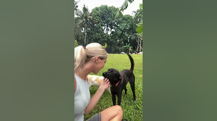 The best moment in dog rescue mission #rescue #lovedog #puppy #help #rescuedog
