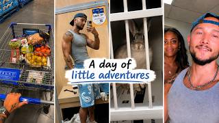 Just a Random Saturday in My Life (Thrifting, Grocery Haul & Adopting a Bunny???)