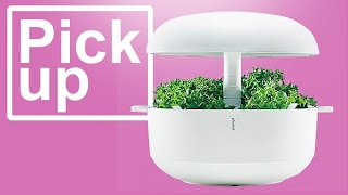 北欧製品の魅力3　リビングになじむ栽培ロボット
