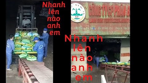 Bốc xếp siêu nhanh và gọn gàng khi áp dụng băng tải điện và cơ gới hóa trong công việc