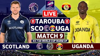 ICC T20 World Cup 2024 Live: Scotland vs Uganda Live Scores | SCO vs UGA Live Scores & Commentary