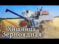 Сельхозтехника Нива СК-5 - никто тебя не любит,  так как я... Уборка урожая ячменя