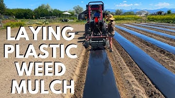 Setting Up & Using Plastic Mulch For Veggie Field Weed Control / Nolt