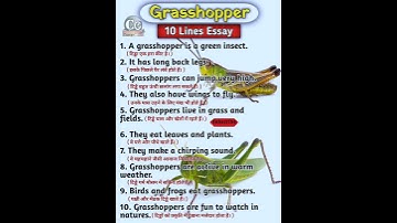 10 Lines Essay on Grasshopper in English 🦗 | Essay on Grasshopper for beginner Students @CarryOn-360