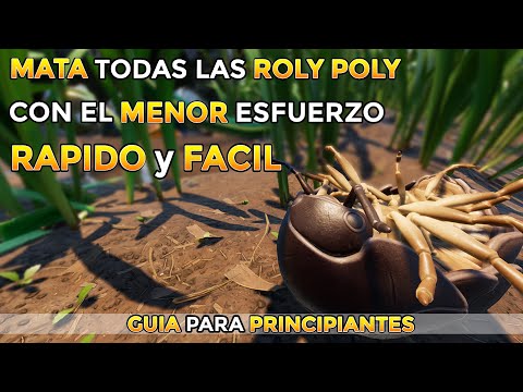 Video: ¿Cómo matas a los bichos roly poly?