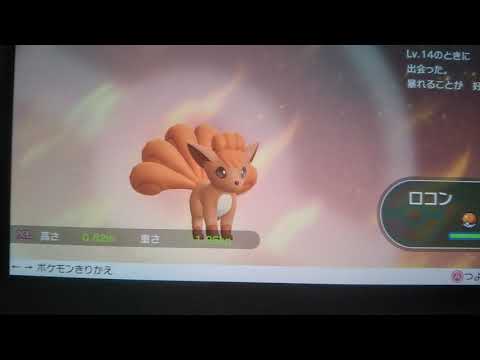 ポケットモンスター  イーブイ  色違いロコン