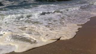 PRAIA TORRÃO DO LAMEIRO - OVAR