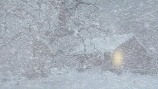 Full Hypnotic Blizzard Harmony & Winter Zen | Calming Sleepscape Ambiance | Snowfall & Snowstorm Serenade Guide