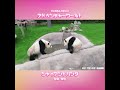 一緒に放送を聴いて、ダッシュで帰る🐼#桜浜 #桃浜 #アドベンチャーワールド