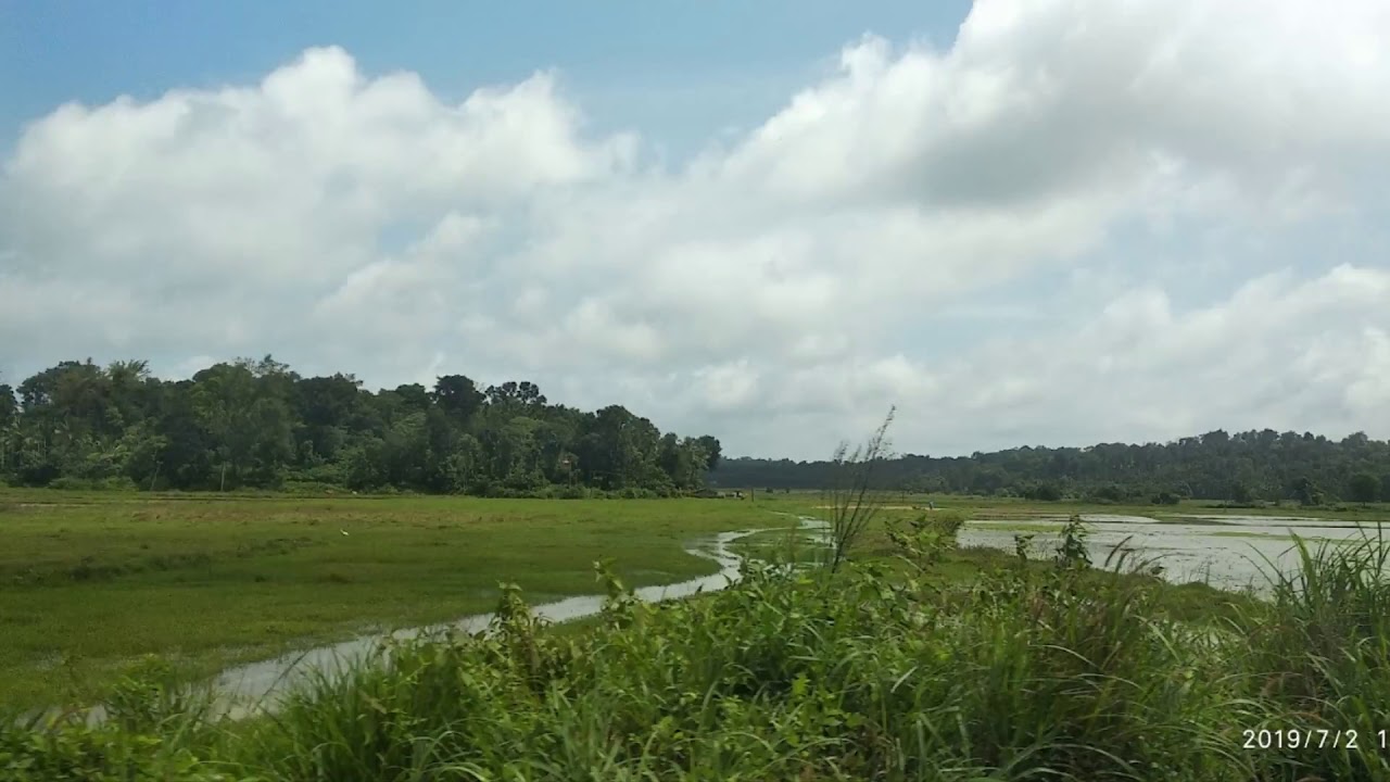 TCS Holiday Home s Coorg Karnataka Part 11 YouTube TCS Holiday Home s Coorg Karnataka Part 11 YouTube