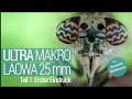 Ultra Makro Laowa 25 mm - Teil 1: Erster Eindruck