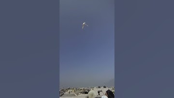 Samsung A1,A2,A3,A4,A5,A6,A7,A8,A9,A10,A20,A30,A40,A50,A60,A70 #speedsong #music #speedup #karina