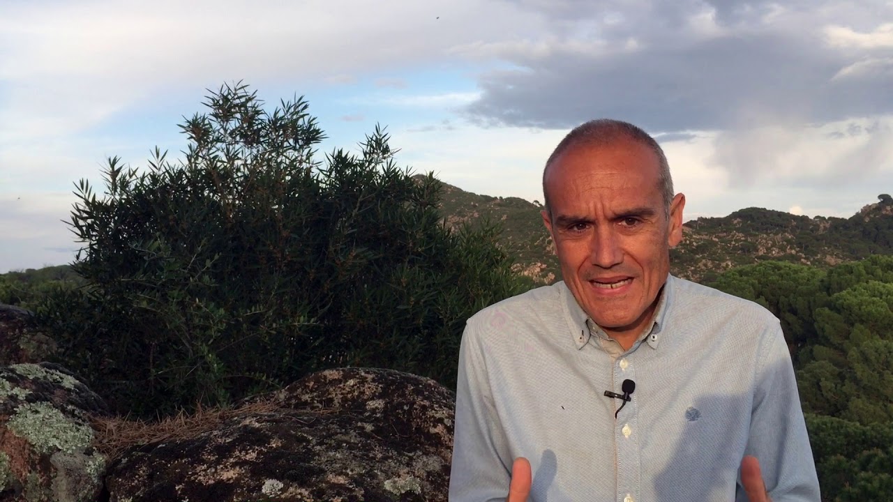 Quieres mejorar tu concentración y memoria ??