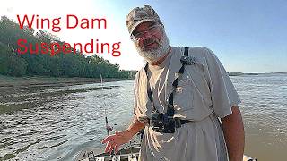 Suspend Catfishing On The Mississippi Bears Further Invvestigation