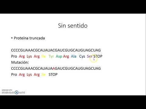 Vídeo: Características Del Gen Que Predicen Mutaciones Sin Sentido, Sin Sentido Y De Cambio De Marco En Muestras Tumorales