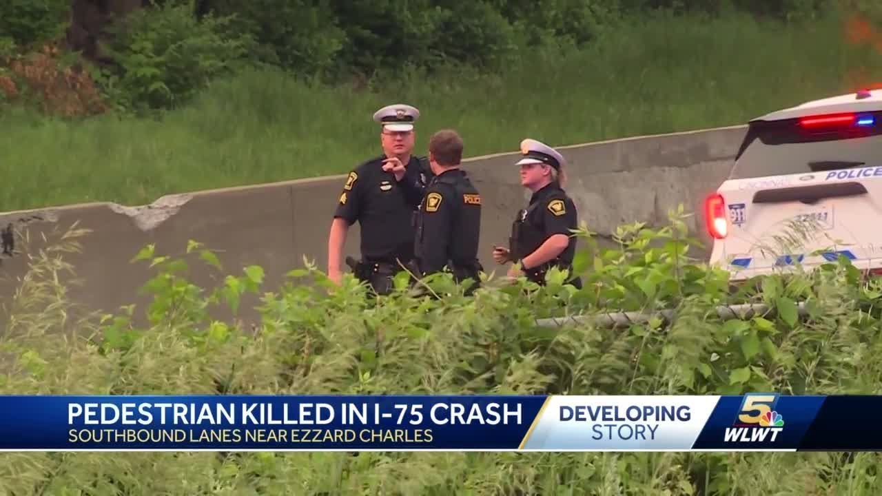 Police: Pedestrian dies after being struck by vehicle along I-75 - YouTube