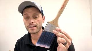 Choosing The Right Brush For Your Painting Project