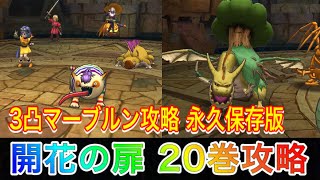 【ドラクエタクト】開花の扉 第20巻 3凸マーブルンでもクリア出来る編成と立ち回り紹介！永久保存版！【無課金攻略】