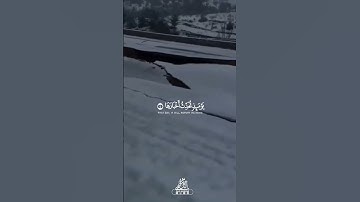 سورة الزلزلة / القارئ زيد الدليمي
