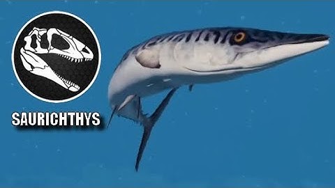 Mosasaurus & Megalodon Hunting Saurichthys - JWE 2 Mods (4K 60FPS)