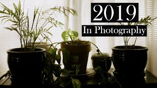 2019 in Photography