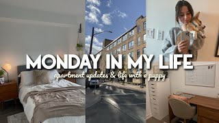 MONDAY IN MY LIFE 🏙️ Apartment Updates !!! & life as a dog mom.