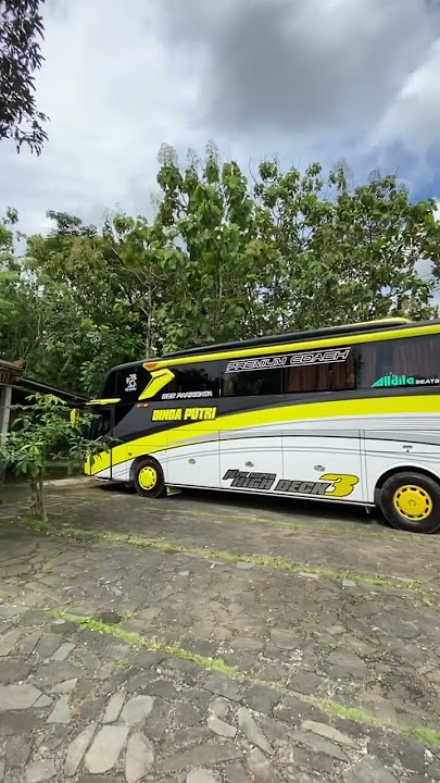 Timbang kelaran mending piknik mbi aku ben bahagia #storywa #story #busmania #liriklagu