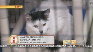 Delta Humane