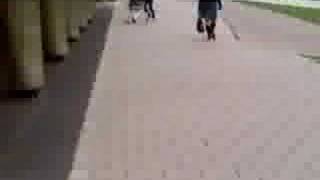 Download Lagu te fout, maar wel leuk U_U MP3