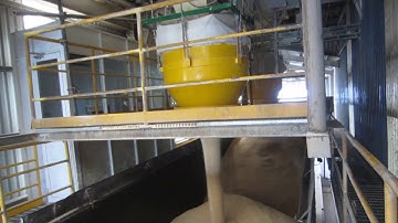 Bunge Vietnam loading Soybean Meal