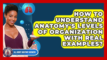 How To Understand Anatomy