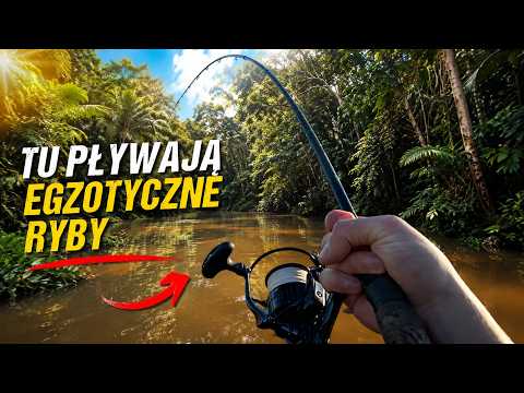 WHAT CAN YOU CATCH IN THE JUNGLE?