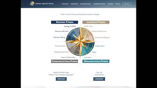 The Strategic Approach System: Developing Strategic Thinking and Planning Capabilities in Executives Wealth
