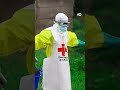 Novo surto de Ébola: O que precisas de saber