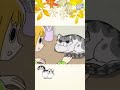 #short #shorts #キュルガ #夜は猫といっしょ #猫 #猫動画 #人気の動画