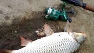 Монтаж на карпа (пружина) Mounting on a carp (spring)