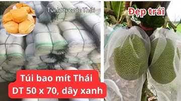 Túi Lưới Thái lan bao trái mít, mãng cầu, bưởi, Sử dụng trên 3 năm