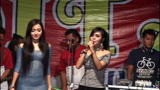 DJ Peres Vs Dita Live Music | Tarik Selimut | Ayu Vaganza - Laura